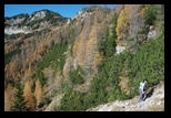 Triglav -Pokljuka -26-10-2013 - Bogdan Balaban